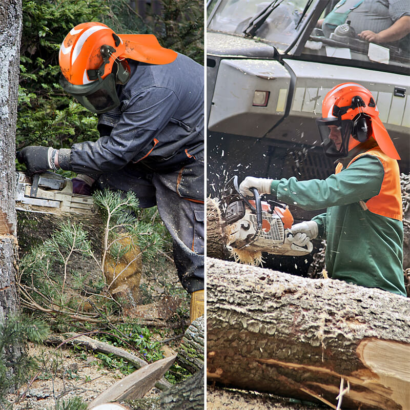 forestry helmet 2