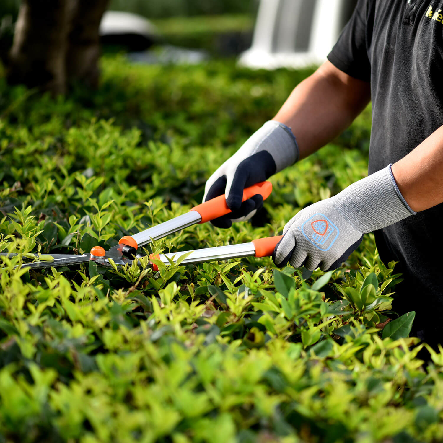 gardening gloves